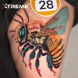 A Deep Dive into the History and Evolution of Tattoo Stencil Supplies: How Have They Transformed the Industry?
