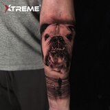 Complete Guide to Beyond® Needle Cartridges: Choosing the Perfect Tool for Tattoo Artists